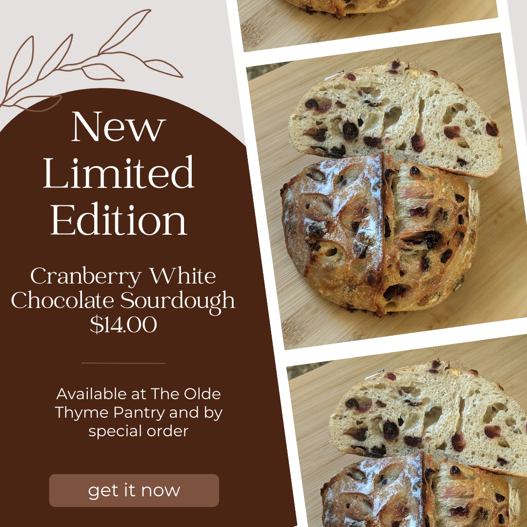 Cranberry Chocolate Sourdough we are adopting